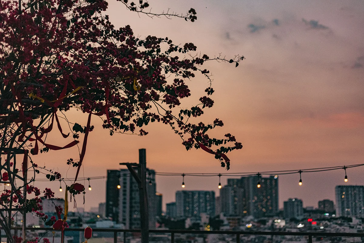 Thương Rooftop Thumb